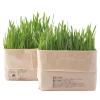 「無印良品 猫草栽培セット 2個入り　4セット　良品計画（イチオシ）」の商品サムネイル画像2枚目