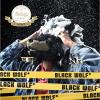 「BLACK WOLF（ブラックウルフ）リフレッシュ スカルプシャンプー 詰め替え 330ml メンズ 大正製薬」の商品サムネイル画像3枚目
