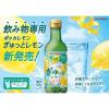 「【ワゴンセール】ポッカレモンぎゅっとレモン300ml瓶 2個 ポッカサッポロフード＆ビバレッジ（わけあり品）」の商品サムネイル画像3枚目