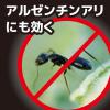 「アリがいなくなるコンバット 90日間 1セット（6個入×6箱）   アリ 置き型 殺虫剤 室内 退治 KINCHO キンチョー」の商品サムネイル画像8枚目