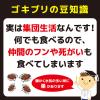 「コンバット キャップ １年用 ゴキブリ 殺虫剤 駆除 対策 置き型 1セット（12個入×6箱） 大日本除虫菊」の商品サムネイル画像6枚目