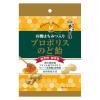 「有機はちみつ入り プロポリスのど飴 60g 6袋 榮太樓總本鋪 キャンディ のど飴」の商品サムネイル画像2枚目