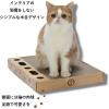 「バリバリパッドコロコロボールスクエア 猫おもちゃ 猫壱」の商品サムネイル画像5枚目