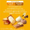 「大容量 個包装 ビスコ 発酵バター仕立て 大袋アソートパック バニラ＆カフェオレ  2枚×16パック入 1セット(1袋×2)」の商品サムネイル画像2枚目