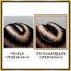 「（セット品）サクセス シャンプー ボリュームアップタイプ 本体 ＋ 詰め替え 男性用 メンズ 花王」の商品サムネイル画像7枚目