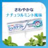 「歯磨き粉 フッ素 シュミテクト コンプリートワンEX プレミアム ナチュラルミント 90g 1セット（2本）薬用高濃度フッ素配合」の商品サムネイル画像4枚目