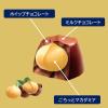 「チョコレート菓子 マカダミアチョコレート　9粒入 1セット（1個×3）」の商品サムネイル画像3枚目