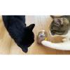 「ルークラン エルシック 猫用 おもちゃ キャットタンブラー バルーン」の商品サムネイル画像6枚目