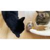 「【ワゴンセール】ルークラン エルシック 猫用 おもちゃ キャットタンブラー バルーン」の商品サムネイル画像6枚目