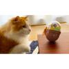 「【ワゴンセール】ルークラン エルシック 猫用 おもちゃ キャットタンブラー バルーン」の商品サムネイル画像7枚目