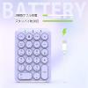 「テンキー Bluetooth パンダグラフ 薄型 充電式 Tabキー付 耐久性 IC-KP08-PU パープル iClever」の商品サムネイル画像5枚目