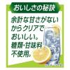 「チューハイ 酎ハイ サワー 氷結無糖 グレープフルーツ Alc.7% 350ml 1ケース（24本）」の商品サムネイル画像6枚目