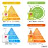 「ミューズ ノータッチ 泡ハンドソープ ピーチ＆ローズ 付替えボトル 250ml 1セット（3個）薬用石鹸 手洗い石鹸」の商品サムネイル画像9枚目