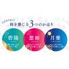 「【アウトレット】サナ 舞妓はん（マイコハン）ハンドクリーム 01 碧陽（ミドリビ） すがすがしい香り 40g×2個 常盤薬品工業」の商品サムネイル画像6枚目