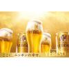 「ビール　プレミアムビール　(グラス1個おまけ付き)　エビスビール　500ml　1パック(6本)」の商品サムネイル画像4枚目