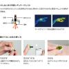 「煙の少ないお灸 せんねん灸の奇跡 レギュラー 1箱（50点入） せんねん灸」の商品サムネイル画像2枚目