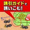 「蟻 駆除 毒餌剤 置き型 蟻の巣 対策 退治 殺虫剤 家 室内 部屋 スーパーアリの巣コロリ 1セット（2個入×2） アース製薬」の商品サムネイル画像5枚目