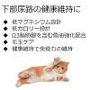「JPスタイル 和の究み セレクトヘルスケア 下部尿路ガード 国産 1.4kg（200g×7袋）1袋 キャットフード 猫 ドライ」の商品サムネイル画像5枚目