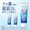 「歯磨き粉 フッ素 クリニカアドバンテージ ハミガキ ソフトミント 130g 1セット（3本） ライオン 虫歯予防」の商品サムネイル画像4枚目