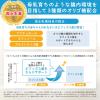 「（0ヵ月から）森永 乳児用ミルク はぐくみ エコらくパック はじめてセット1個（つめかえ用400g×2、専用ケース、専用スプーン）森永乳業　粉ミルク」の商品サムネイル画像6枚目