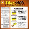 「袋麺 東洋水産 カレーうどん 甘口 3セット（5食パック×3） 和風」の商品サムネイル画像4枚目