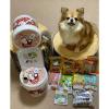 「チョイあげ チキンスティック 10本入 2袋 国産 わんわん ドッグフード 犬 おやつ」の商品サムネイル画像4枚目