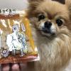 「チョイあげ おいもん 35g 2袋 国産 わんわん ドッグフード 犬 おやつ」の商品サムネイル画像4枚目