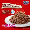 「銀のスプーン 贅沢うまみ仕立て 子ねこ用 ミルク入 国産 1.4kg（小分けパック4袋入）3袋 キャットフード 猫 ドライ」の商品サムネイル画像3枚目