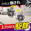 「蜘蛛 駆除剤 スプレー クモの巣消滅 1プッシュ式スプレー 蜘蛛よけ 忌避 退治 蜘蛛の巣 予防 殺虫剤 屋外 室内 アース製薬」の商品サムネイル画像5枚目