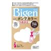 「ビゲン ポンプカラー 詰め替え 5NA 深いナチュラリーブラウン ホーユー」の商品サムネイル画像1枚目