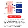 「メディキュット メディカル ハイソックス M レキットベンキーザー・ジャパン」の商品サムネイル画像4枚目