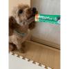 「（バラエティパック）いなば ちゅーる 犬 とりささみバラエティ 総合栄養食 国産（14g×20本）1袋 ちゅ〜る ドッグフード ウェット おやつ」の商品サムネイル画像3枚目