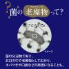 「【アウトレット】ピュオーラ GRAN（グラン） ホワイトニング ホワイトハーバルミントの香味 95g 1本 花王 歯磨き粉 ホワイトニング 美白」の商品サムネイル画像7枚目