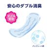 「【アウトレット】ナチュラ 吸水ケア さら肌さらりよれスッキリ吸水ナプキン  65cc  432枚:（24パック×18枚入）エリエール 大王製紙」の商品サムネイル画像7枚目