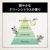 「サクセス24 クレンジングシャンプー 爽やかなグリーンシトラスの香り 詰め替え 280ml 清潔感スタンバイ！」の商品サムネイル画像5枚目