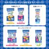 「キチントさん ダストマン▽（サンカク） 1セット（50枚入×3袋）」の商品サムネイル画像8枚目