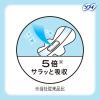 「ナプキン 生理用品 ソフィ センターインコンパクト 1/2 無香料 多い夜用 羽つき 30.5cm 1セット (12枚×2パック)」の商品サムネイル画像5枚目