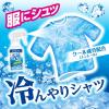 「アイスノン シャツミストミントの香り 大容量つめかえ用280mL 2個 白元アース」の商品サムネイル画像6枚目