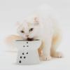 「ハッピーダイニング 脚付フードボウル L シリコン付き 猫柄 猫壱」の商品サムネイル画像6枚目