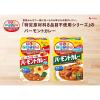 「ハウス食品 特定原材料8品目不使用 はじめて食べるバーモントカレー 1セット（2個）カレールー　アレルゲン　カット」の商品サムネイル画像5枚目
