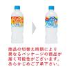 「サントリー 天然水 うめソルティ 冷凍兼用 540ml 1箱（24本入）」の商品サムネイル画像3枚目