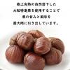「大袋 樹上完熟の甘栗 1袋 神光商事　有機栽培　あまぐり」の商品サムネイル画像3枚目