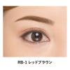 「【アウトレット】メイベリン ニューヨーク アイブロウ DB ペンシル＆ブラシ RB-1 レッドブラウン」の商品サムネイル画像2枚目