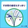「歯磨き粉 子供用 クリアクリーン キッズ メロンソーダ 70g 1セット（3本） 花王 虫歯予防」の商品サムネイル画像5枚目
