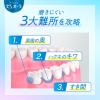 「歯ブラシ ピュオーラ ハブラシ コンパクトスリム ふつう 1セット（2本）花王」の商品サムネイル画像3枚目