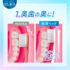 「歯ブラシ ピュオーラ ハブラシ コンパクトスリム ふつう 1セット（2本）花王」の商品サムネイル画像4枚目