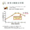 「【おまけ付】【トクホ・特保】コカ・コーラ 綾鷹 特選茶 500ml 4本＋コカ・コーラオリンピックグラス 1個　1セット」の商品サムネイル画像2枚目