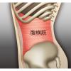 「【アウトレット】SIX PAD（シックスパッド） Shape Suit SP-SS2025F-S 1個 MTG」の商品サムネイル画像4枚目