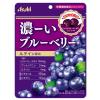 「アサヒグループ食品 濃ーいブルーベリー 1セット（6袋）」の商品サムネイル画像2枚目