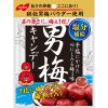 「ノーベル 男梅キャンデー　2個　飴　キャンディ」の商品サムネイル画像2枚目
